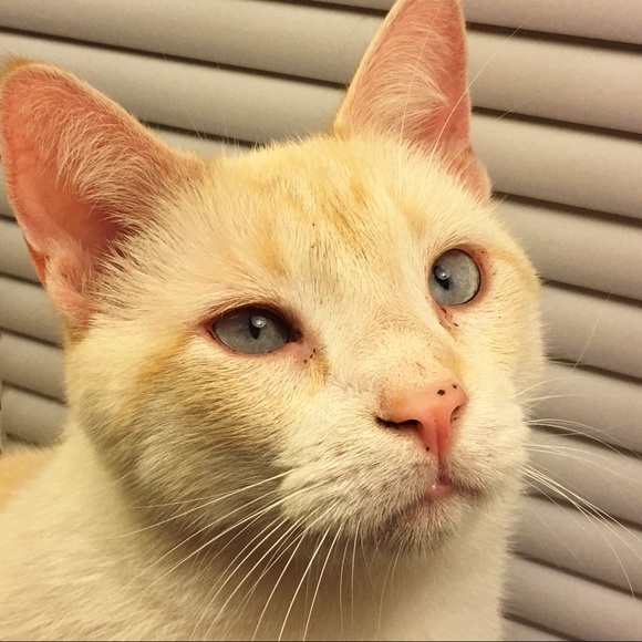 Meet Your Posher, Michelle - Picture 4 of 8